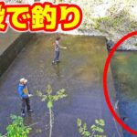 川にできた巨大な階段で釣りしてみた