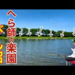へらぶな釣りで有名なびん沼は管理釣り場並に魚影が濃い楽園だった