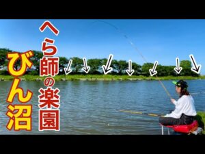 へらぶな釣りで有名なびん沼は管理釣り場並に魚影が濃い楽園だった