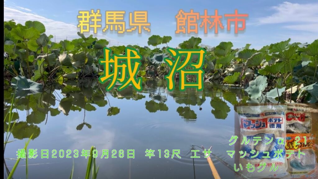 城沼 爆釣りの秋　(群馬県館林市城沼)
