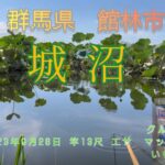 城沼 爆釣りの秋　(群馬県館林市城沼)