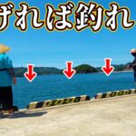 誰でも投げれば無限に釣れる！？炎天下でも楽しめる簡単海釣り！