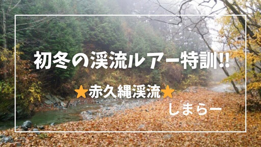 ［渓流ルアー］冬もできる渓流で来シーズンの特訓をしてきた！赤久縄渓流は冬の川になっていた。