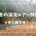 ［渓流ルアー］冬もできる渓流で来シーズンの特訓をしてきた！赤久縄渓流は冬の川になっていた。