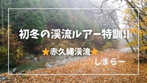 ［渓流ルアー］冬もできる渓流で来シーズンの特訓をしてきた！赤久縄渓流は冬の川になっていた。