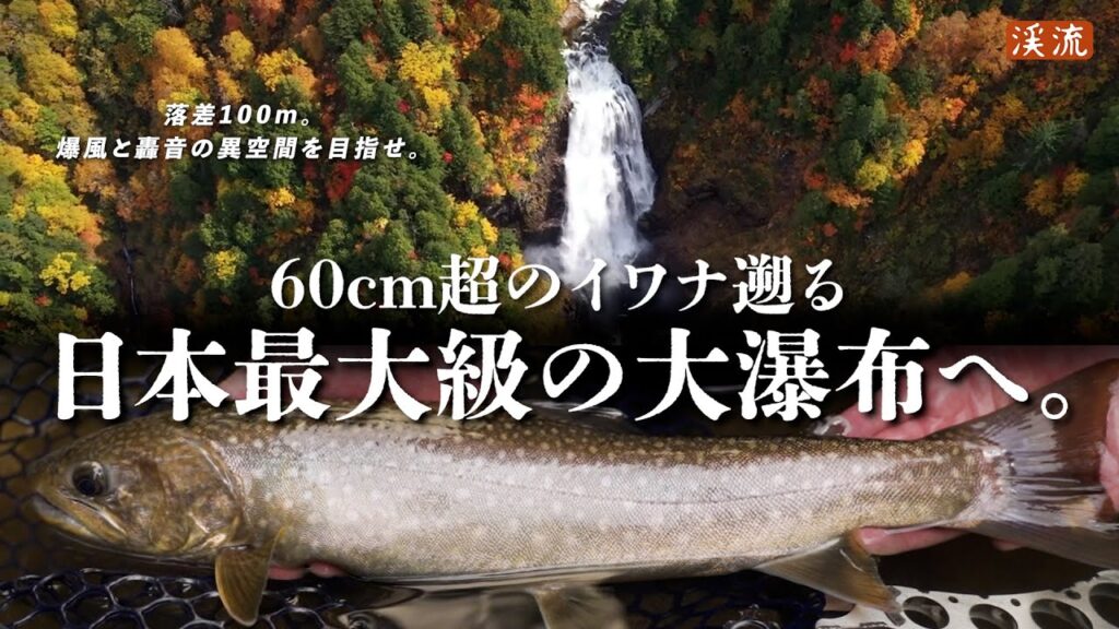 【渓流釣り】巨大イワナたちが目指すのは、日本最大級の大直瀑だった。阿賀野川水系只見川