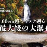 【渓流釣り】巨大イワナたちが目指すのは、日本最大級の大直瀑だった。阿賀野川水系只見川