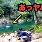 【デカっ･･･】渓流のモンスターが顔を出す！十勝の川釣りコラボ後編