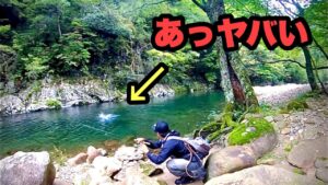 【デカっ・・・】渓流のモンスターが顔を出す!十勝の川釣りコラボ後編