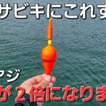 これしたら嘘みたいに良型アジ連発。釣れない時の対策。アジングいやアジ釣りです【サビキ釣り】