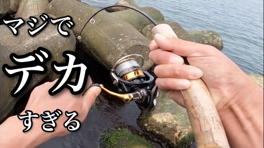 動画史上最大のデカさの魚を釣ってもう嬉しすぎて海に飛び込もうとした【穴釣り】