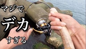 動画史上最大のデカさの魚を釣ってもう嬉しすぎて海に飛び込もうとした【穴釣り】