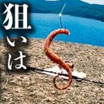 堤防でぶっこみ釣りをしたら美味しい高級魚が色々釣れる【 餌釣り 】