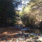 【エリアトラウト】赤久縄で禁漁中のあの魚を合法的に釣る（再掲）