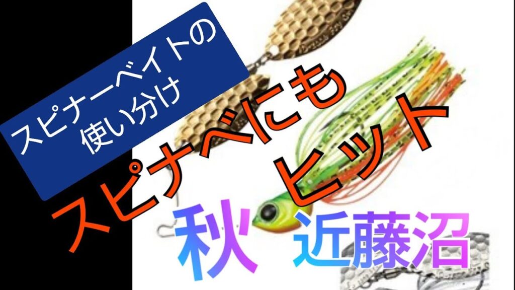 【秋のバス釣り】【近藤沼】巻き物第３弾！スピナーベイトに良型が食ってきた