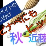 【秋のバス釣り】【近藤沼】巻き物第３弾！スピナーベイトに良型が食ってきた