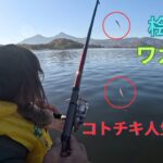 １歳児釣りに挑戦！！果たして釣りガールになれたのか？
