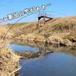 冬の誰もいない川で小物釣りのはずが・・・！？