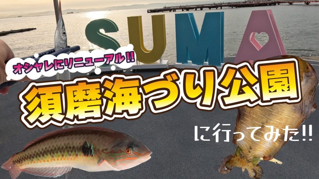 【あまから釣査隊】オシャレにリニューアル!!須磨海づり公園に行ってみた!!【ゴールデンミーン】