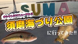 【あまから釣査隊】オシャレにリニューアル!!須磨海づり公園に行ってみた!!【ゴールデンミーン】