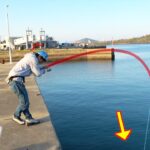 堤防の足下にとんでもない大物がウロウロしていたので餌を入れてみたら・・・！？