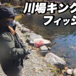 激ムズ⁉︎私たちが川場キングダムフィッシングへ向かう理由