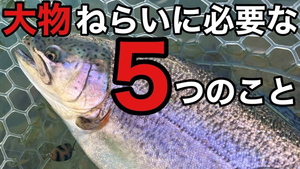 【エリアトラウト】管理釣り場で大物ねらいに必要な５つのこと【管釣り 釣りガール、釣り女子は出ません　釣り　ルアー】