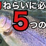 【エリアトラウト】管理釣り場で大物ねらいに必要な５つのこと【管釣り 釣りガール、釣り女子は出ません　釣り　ルアー】
