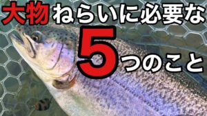 【エリアトラウト】管理釣り場で大物ねらいに必要な5つのこと【管釣り 釣りガール、釣り女子は出ません 釣り ルアー】
