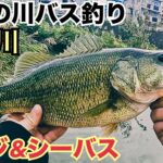 中川水系大場川でバス釣り【前編】