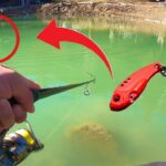 冬の爆釣ルアー！メタルバイブレーションの使い方【エリアトラウト　管理釣り場】