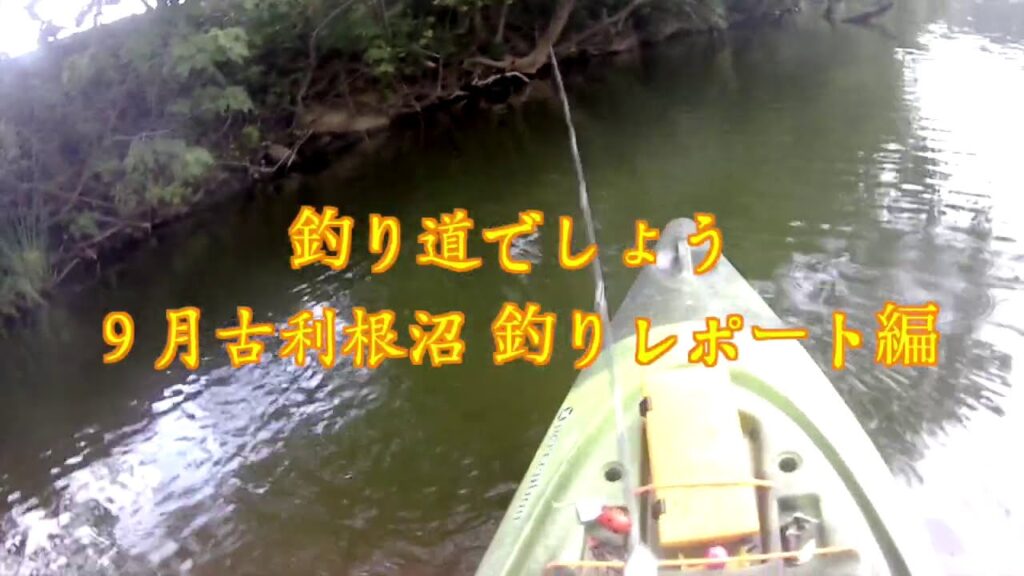 釣り道でしょう／９月古利根沼釣りレポート編