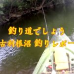 釣り道でしょう／９月古利根沼釣りレポート編