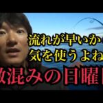 日曜日の激混み浜名湖でサビキ釣りでアジ釣って泳がせ釣りしたら…🔥