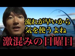 日曜日の激混み浜名湖でサビキ釣りでアジ釣って泳がせ釣りしたら…🔥