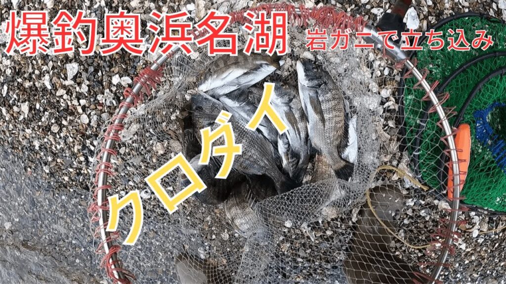 北風が強くても大丈夫爆釣奥浜名湖