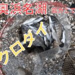 北風が強くても大丈夫爆釣奥浜名湖