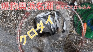 北風が強くても大丈夫爆釣奥浜名湖