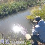 秋は水路の釣りが楽しい！ 千葉県 印旛沼周辺で小物釣り。
