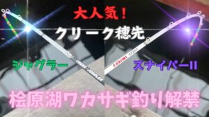【クリーク穂先】ワカサギ釣り解禁🎣✨今シーズンもクリーク穂先の出番です☺️