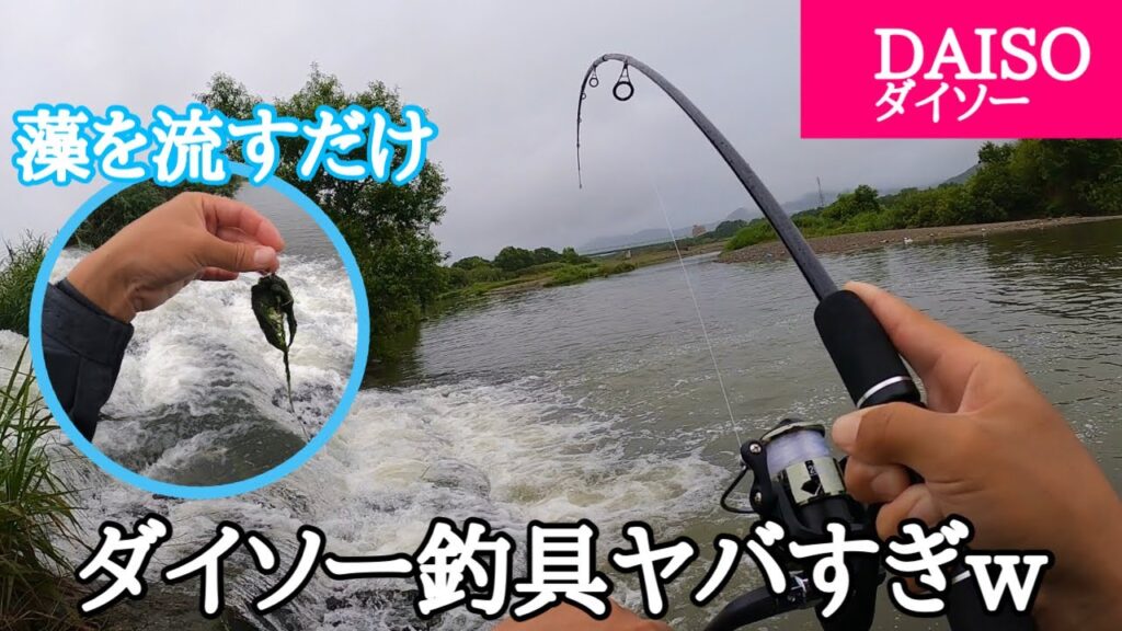 ダイソーで釣具買って川に生えてる藻を投げたら巨大魚が入れ食いになりました。