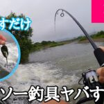 ダイソーで釣具買って川に生えてる藻を投げたら巨大魚が入れ食いになりました。