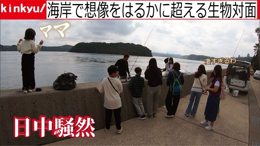 海を眺めていたら突如想像を超える大きさの生物が揚がりあまりの衝撃に日中は騒然となった