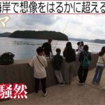 海を眺めていたら突如想像を超える大きさの生物が揚がりあまりの衝撃に日中は騒然となった