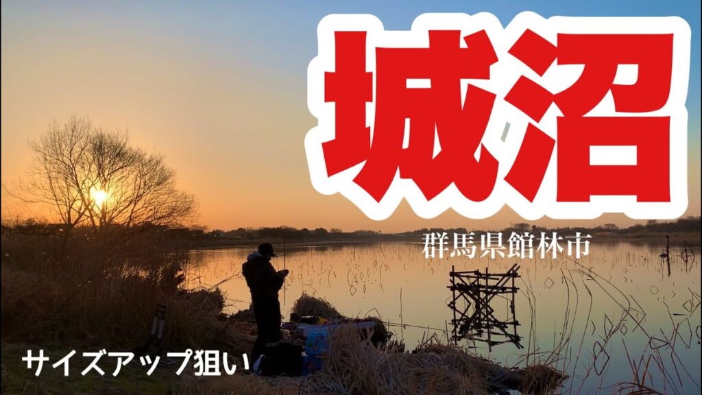 サイズアップ狙い！城沼でへらぶな釣り 群馬県館林市