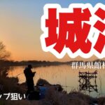 サイズアップ狙い！城沼でへらぶな釣り 群馬県館林市