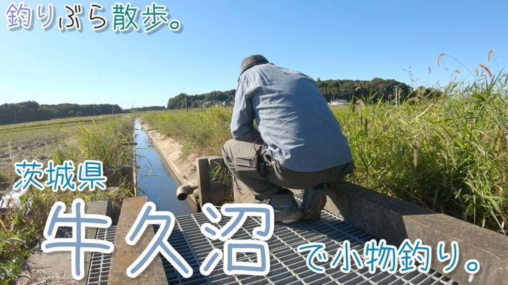 【小物釣り】茨城県 牛久沼付近の用水路で小物釣り。【淡水】