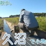【小物釣り】茨城県 牛久沼付近の用水路で小物釣り。【淡水】