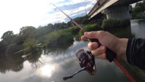 城沼で魚釣り!【群馬】