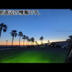 公園西側落ちキス速報【浜名湖釣り】🎣これはどう言う事なのか…？？